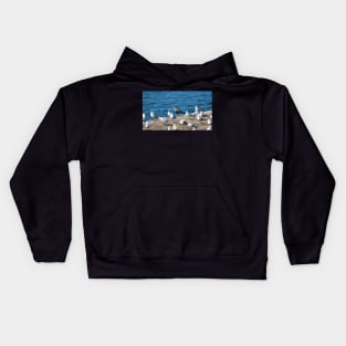 A Flock Of Gulls Standing On A Dock Kids Hoodie